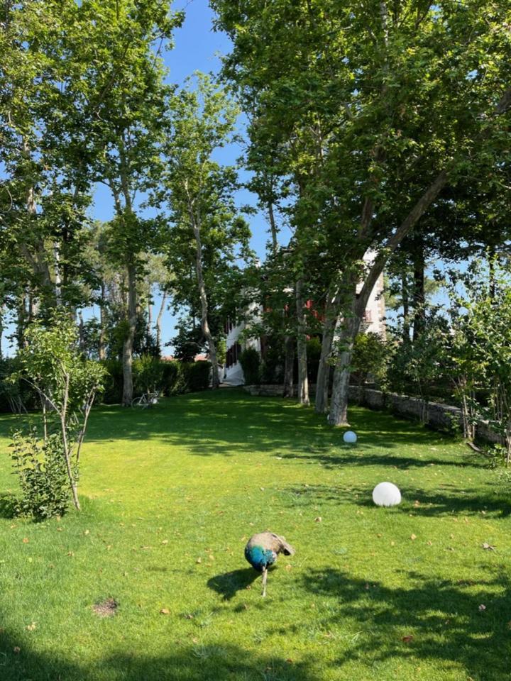 Готель Casa Jardin El Colmenar Лас-Навас-дель-Маркес Екстер'єр фото