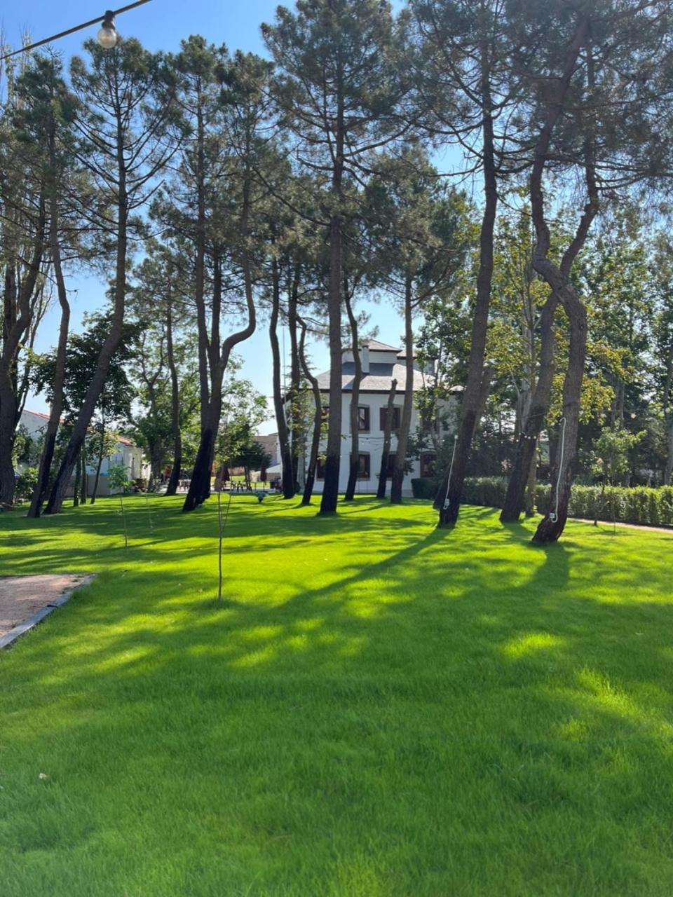 Готель Casa Jardin El Colmenar Лас-Навас-дель-Маркес Екстер'єр фото